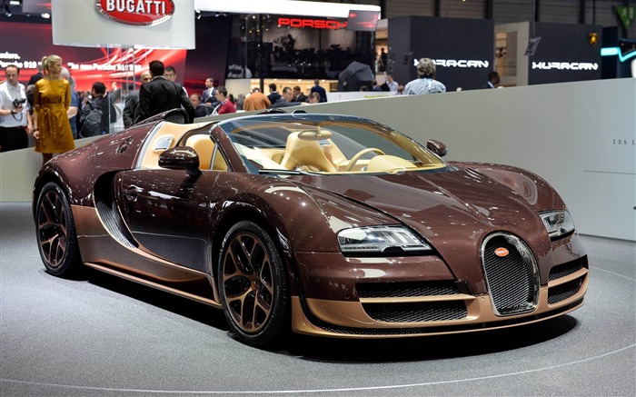 Rembrandt Bugatti veyron-Car HD wallpaper Views:9782 Date:2014/4/19 10:35:57