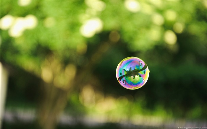 Soap bubbles-Windows Photo Wallpaper Views:12099 Date:2014/4/23 8:08:37