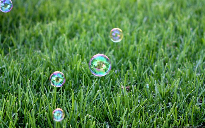 Suspension of bubbles-Windows Photo Wallpaper Views:7304 Date:2014/4/23 8:20:32