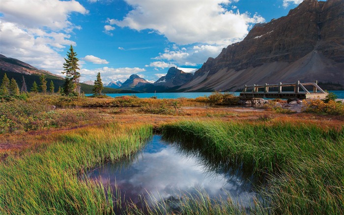 lac montagnes de l'herbe-Paysage HD Fond d'écran Vues:8801