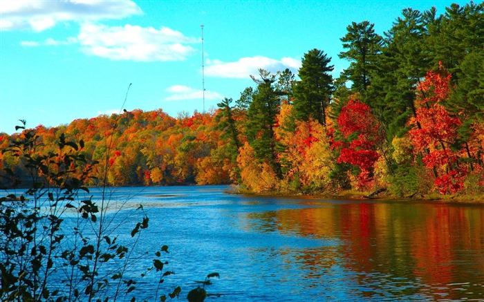 arbres de la rivière automne-Paysage HD Fond d'écran Vues:11552