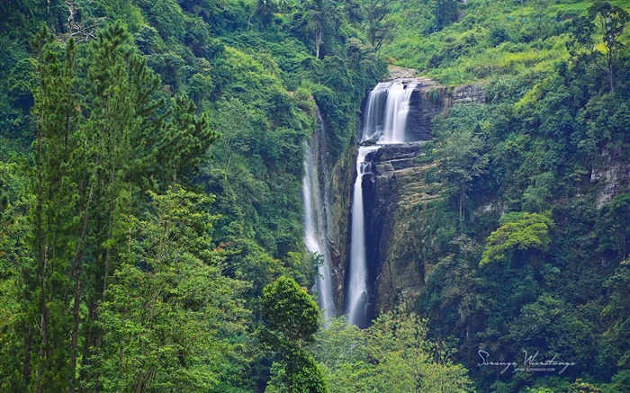 Fondo de pantalla de Alpine waterfall-Sri Lanka Win8 Vistas:14715