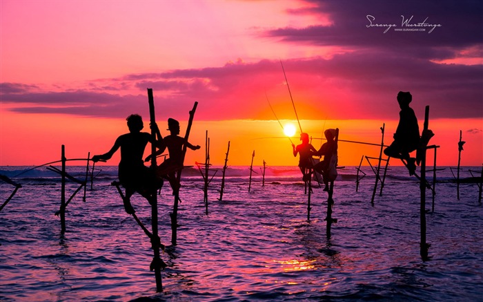 Beach Fishing-Sri Lanka Win8 fondo de pantalla Vistas:15884