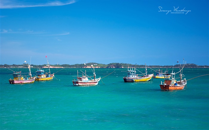 Barcos de pesca na praia - papel de parede do Sri Lanka Win8 Visualizações:11220