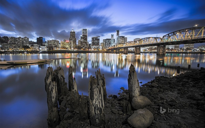 Fondo de pantalla de City Night Bridge-Bing Vistas:7151