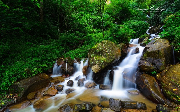 Forest streams-Sri Lanka Win8 fondo de pantalla Vistas:12256