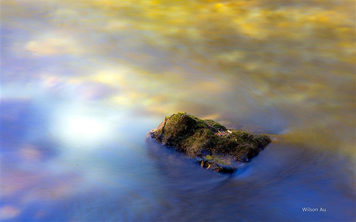 Pierres moussus en les cours d'eau-Paysage HD fonds d'écran Vues:9663