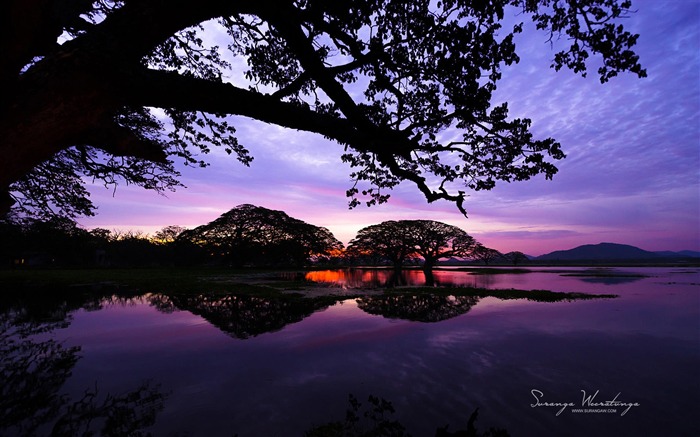 Fondo de pantalla de Sunset Lakes-Sri Lanka Win8 Vistas:10659