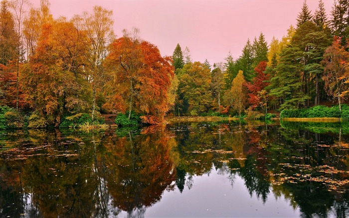 bosque lago otoño-Paisaje Fondo de pantalla HD Vistas:11259