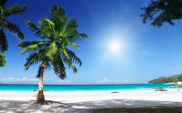 sunny beach-Landscape fondo de pantalla HD Vistas:16914