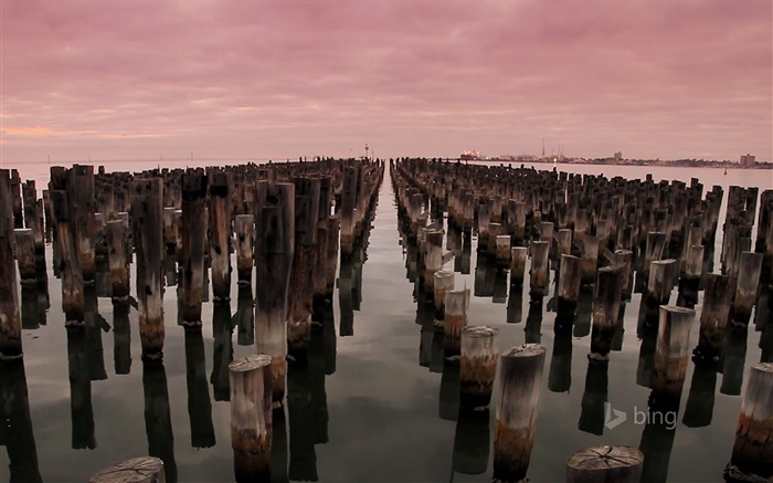 Fondo de pantalla de playa Stakes-Bing Vistas:8931