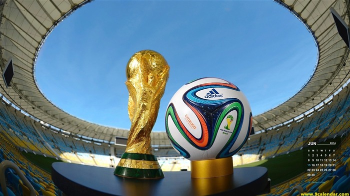 FIFA World Cup-July 2014 calendarios hd fondos de pantalla Vistas:6436