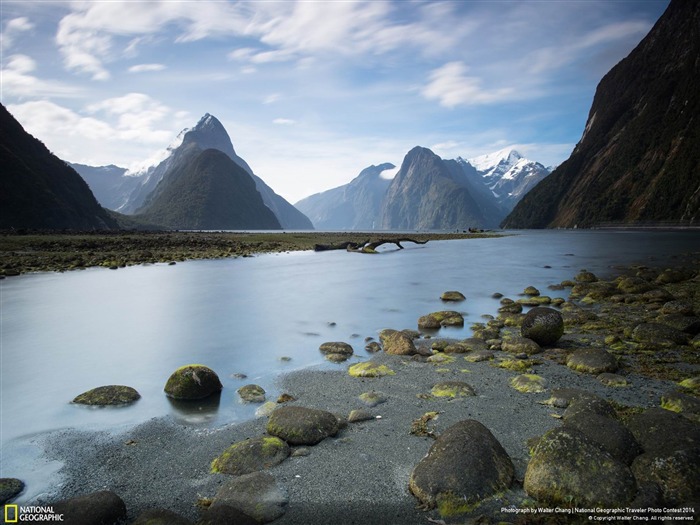 kiwi sonore-National Geographic fond d'écran Vues:8695