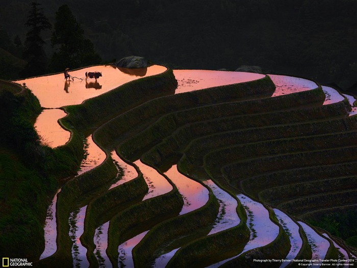 Coucher de soleil à longji-National Geographic fond d'écran Vues:6940