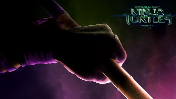 Teenage Mutant Ninja Turtles 2014 Movie HD Wallpaper 09 Visualizações:7052