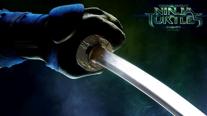 Teenage Mutant Ninja Turtles 2014 Movie HD Wallpaper 11 Visualizações:6948