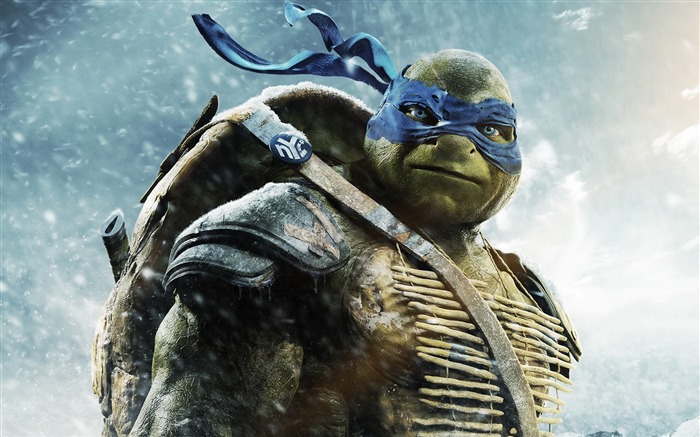 Teenage Mutant Ninja Turtles 2014 Movie HD Wallpaper Views:29200