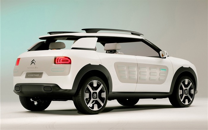 citroen cactus concept-HD Fond d'écran Vues:8019