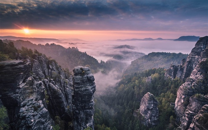 paisagem matinal da névoa HD wallpaper Visualizações:10097