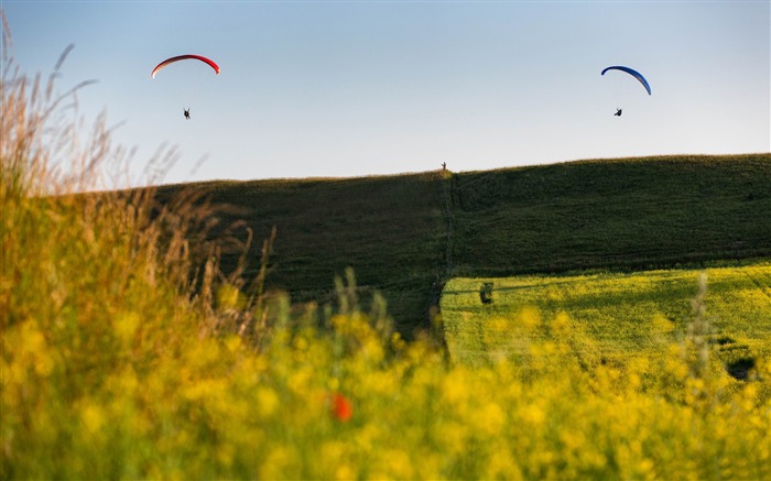 Paragliders na paisagem aérea HD Wallpaper Visualizações:8127