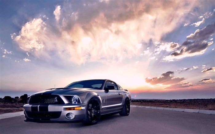 Ford Mustang Cobra-cars HD Wallpapers Visualizações:17643