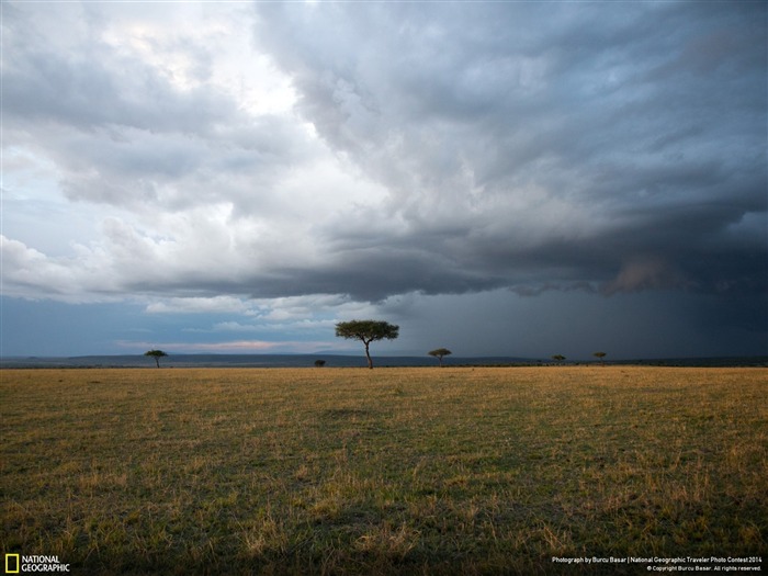 Papel de Parede Geográfico Nacional de Masai Mara Sunset Visualizações:7979