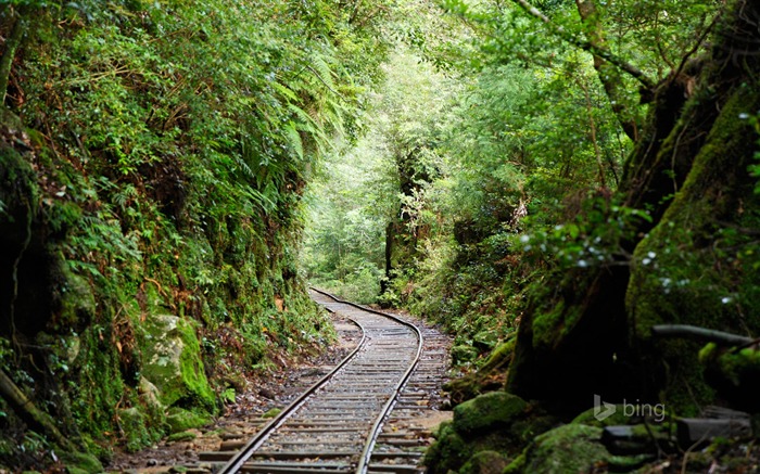 Mountain track-Bing theme wallpaper Views:8655 Date:2014/7/3 9:05:54