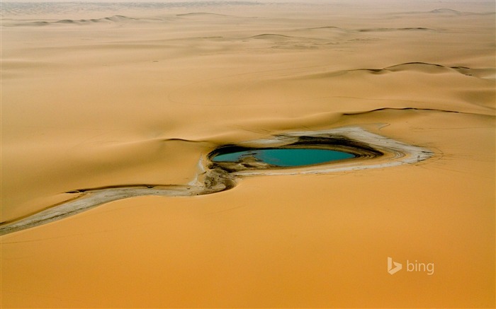 Eau dans le désert-Bing fond d'écran Vues:9811