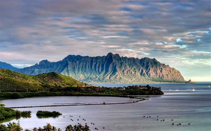 côte de la baie des îles de la mer-Photo HD Fond d'écran Vues:10428