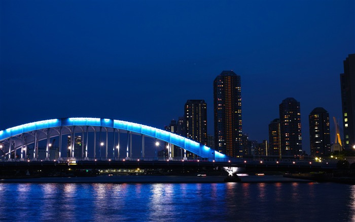 eitai bashi bridge japan-Cities HD Wallpaper Views:9372 Date:2014/7/14 8:18:19