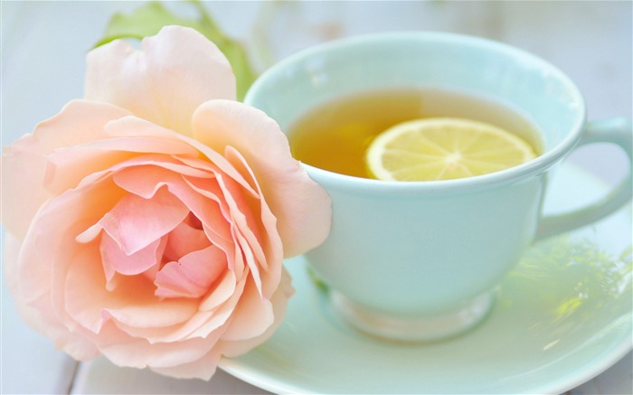 taza de té lemon rose-Plants HD Photo Wallpaper Vistas:7744