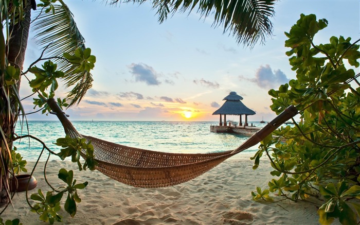 sable de la plage tropicale-Photo HD Fond d'écran Vues:8241