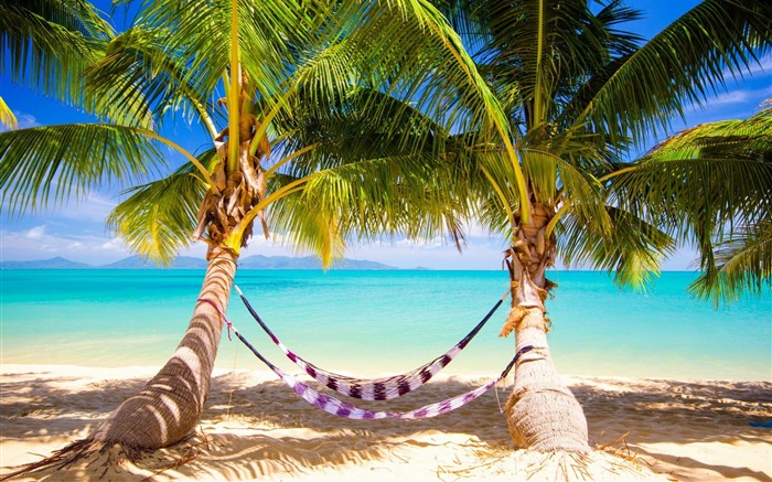 sable de la plage tropicale-Photo HD Fond d'écran Vues:16758