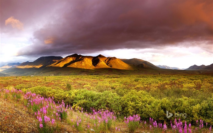 Hermoso paisaje-fondo de pantalla de tema de Bing Vistas:10388