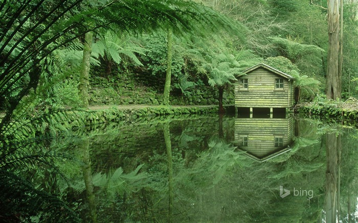 Fondo de pantalla de tema Green Gables-Bing Vistas:12021