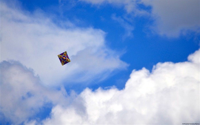 Kite on the blue sky-Windows Theme Wallpaper Views:9396 Date:2014/8/11 7:16:00