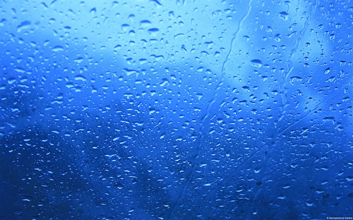 Raias de chuva - Papel de Parede de Tema do Windows Visualizações:13141