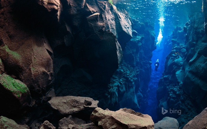 Fondo de pantalla de buceo-Bing theme Vistas:24169