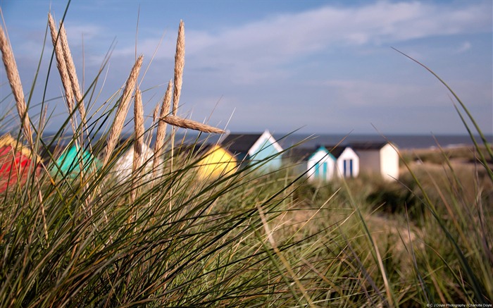 Fondo de escritorio del tema de las dunas de Southworth Wald Vistas:8228