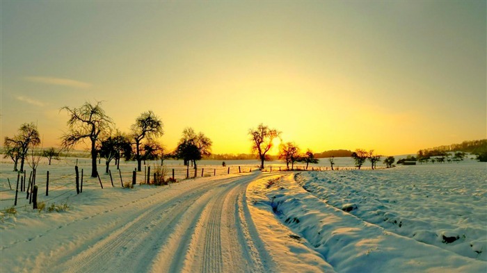 Winter Sunset-Fond d'écran Nature Vues:7194