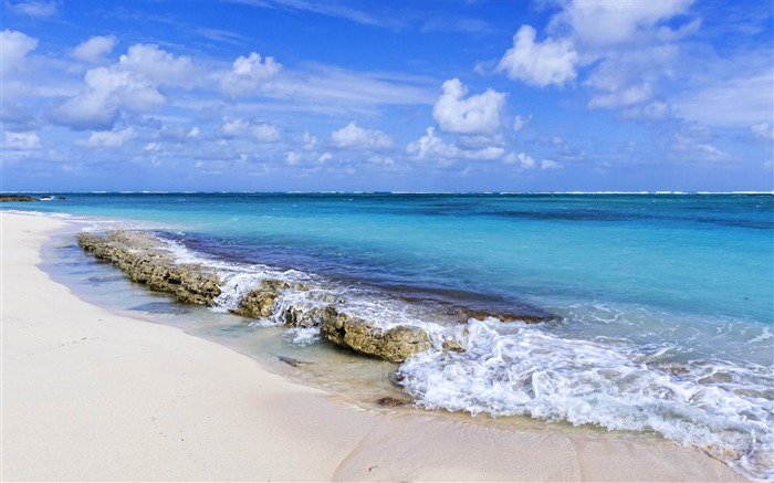 plage sable mer océan-paysage HD Fond d'écran Vues:16844