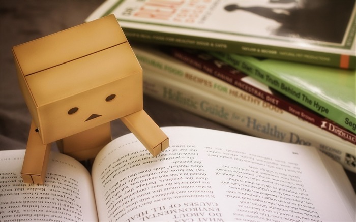 danbo cardboard-haute qualité fond d'écran Vues:7616