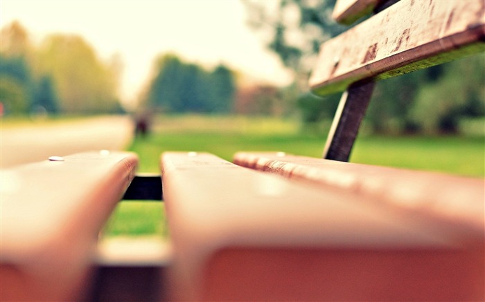 macro bench-High quality wallpaper Views:8313 Date:2014/8/3 8:35:56