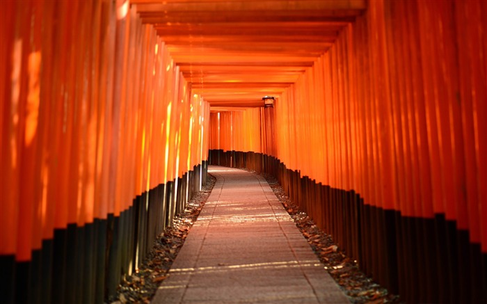 torii leading-High quality wallpaper Views:8344 Date:2014/8/3 8:39:11