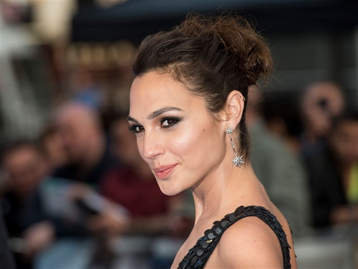 Papel de parede da foto Gal Gadot-Beauty Visualizações:9950