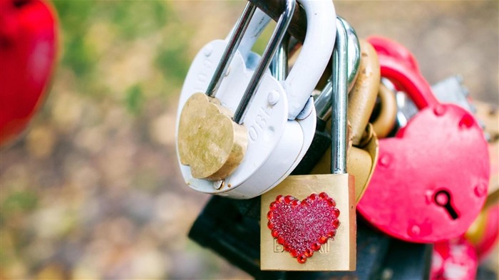 Love Padlocks-Papel pintado de alta calidad Vistas:6838