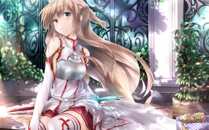 Sword Art Online Japan Anime wallpaper 07 Views:12377 Date:2014/9/21 1:18:58