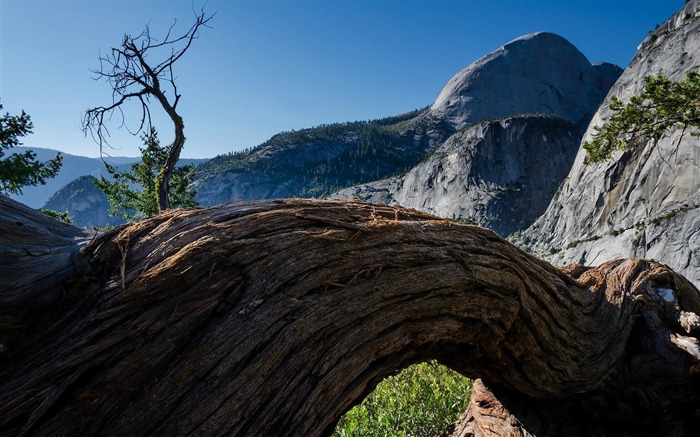 Yosemite National Park Microsoft theme wallpaper 11 Views:10152 Date:2014/9/26 9:23:06