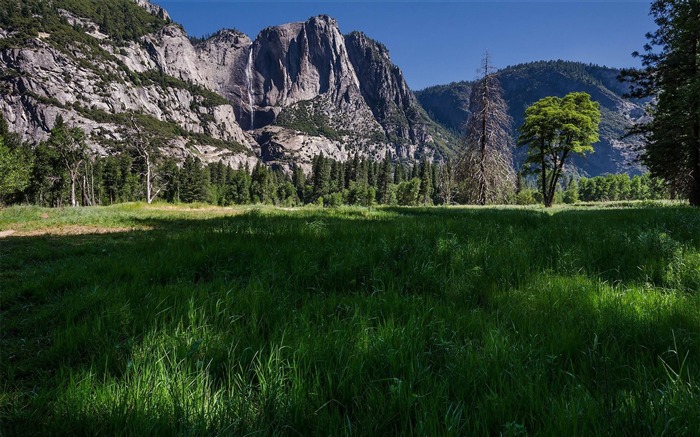 Yosemite National Park Microsoft theme wallpaper 16 Views:9447 Date:2014/9/26 9:27:40