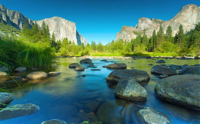 Parque nacional de Yosemite Wallpaper de tema da Microsoft Visualizações:54124